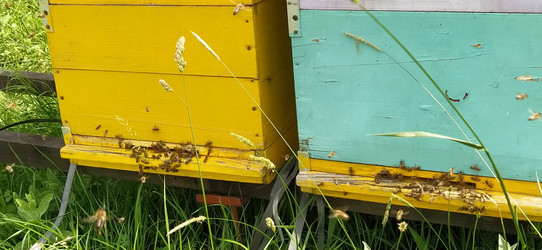 Similar image 21627156