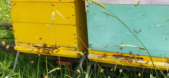 Similar image 21627158