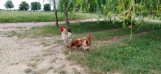 Similar image 21627159