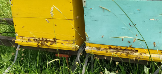 Similar image 21627160