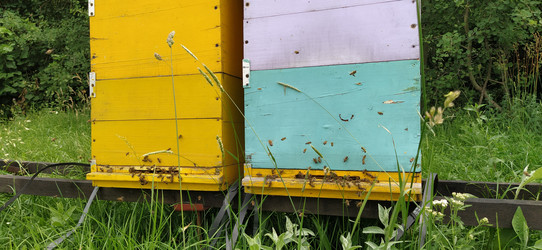 Similar image 21627165