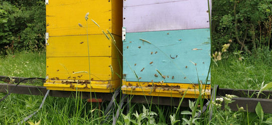 Similar image 21627166