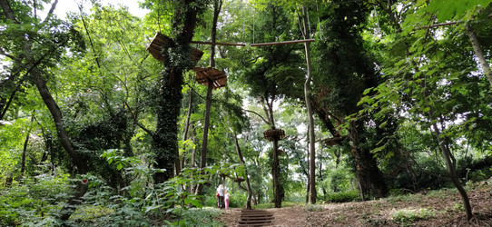 Similar image 21627167