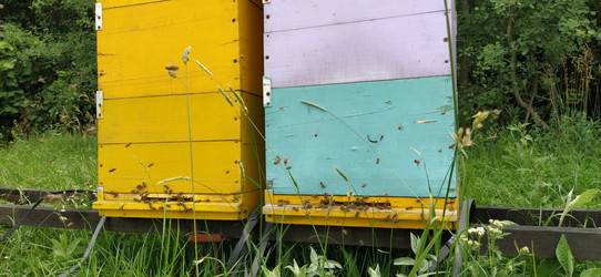 Similar image 21627168