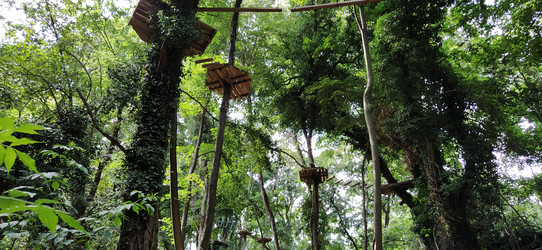 Similar image 21627169