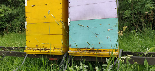 Similar image 21627170