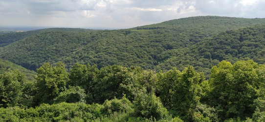 Similar image 21627173