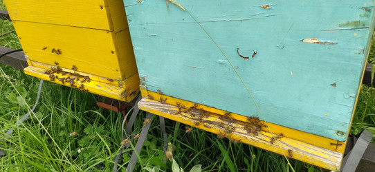 Similar image 21627175