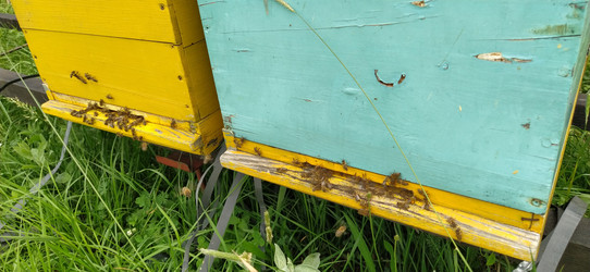 Similar image 21627176