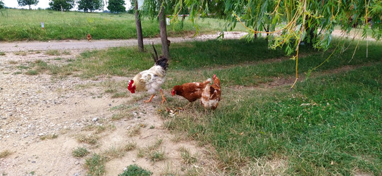 Similar image 21627440