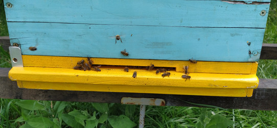 Similar image 21627441