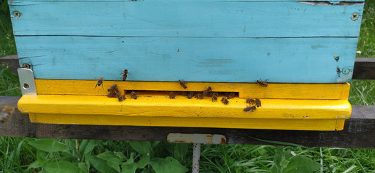 Similar image 21627443