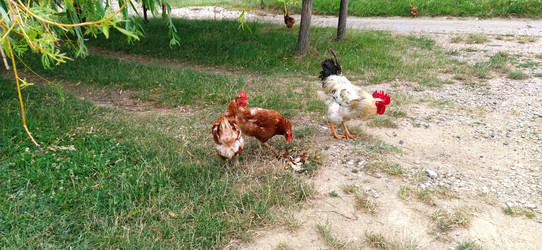 Similar image 21627446