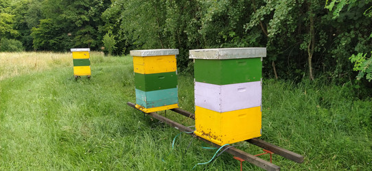 Similar image 21627448