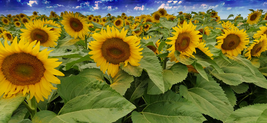 Similar image 21627449