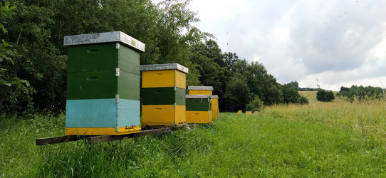 Similar image 21627450