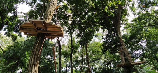 Similar image 21627456