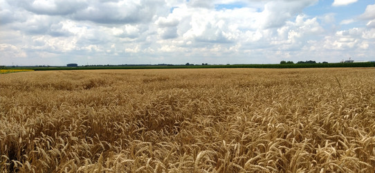 Similar image 21627457