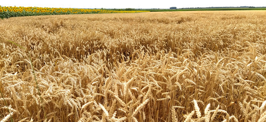 Similar image 21627463