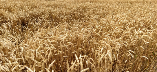 Similar image 21627467