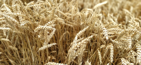 Similar image 21627470