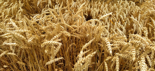 Similar image 21627471