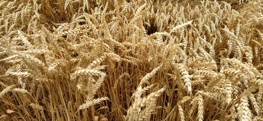 Similar image 21627472