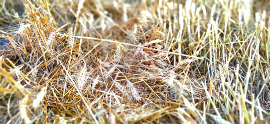 Similar image 21627476