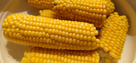 Similar image 21627478