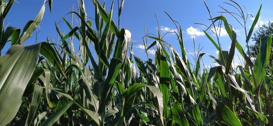 Similar image 21627479