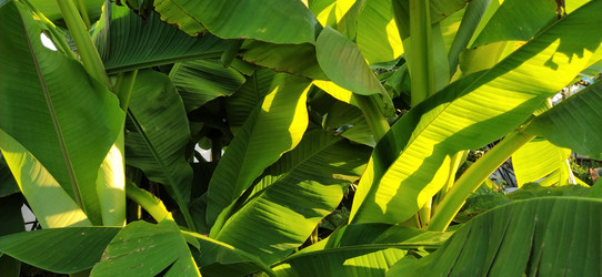 Similar image 21627482