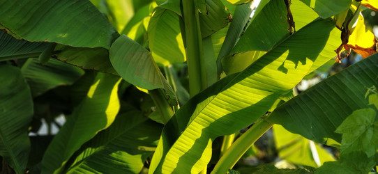 Similar image 21629054