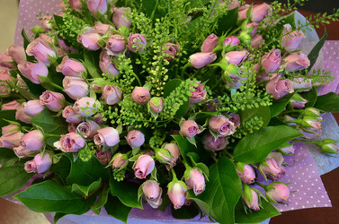 Similar image 21556490