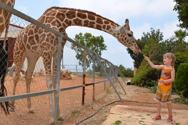 Similar image 21563103