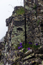 Similar image 21626497