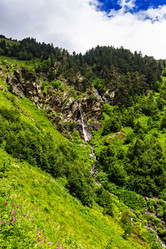 Similar image 21626512