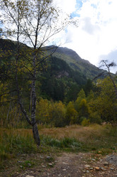 Similar image 21557621