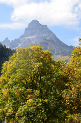 Similar image 21556762