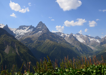 Similar image 21556765