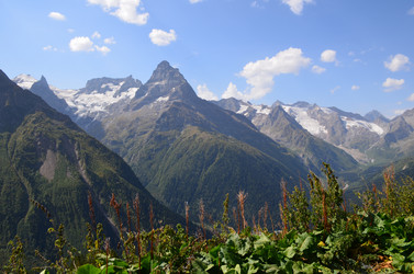 Similar image 21556767