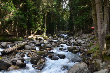 Similar image 21556775