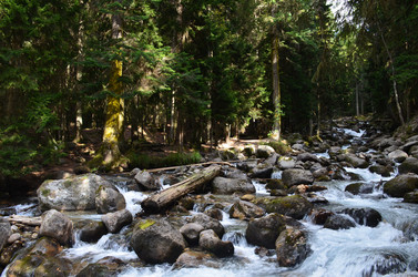 Similar image 21556776