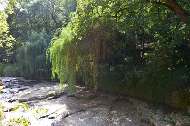 Similar image 21556782