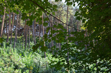 Similar image 21556790