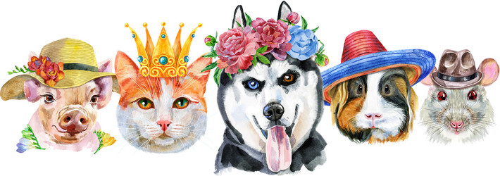 Similar image 21559024