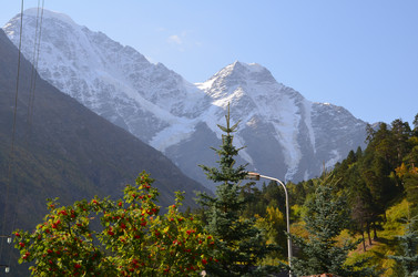 Similar image 21556791