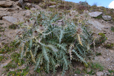 Similar image 21557634