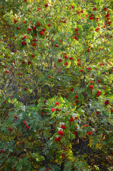 Similar image 21557648