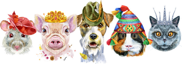 Similar image 21559026