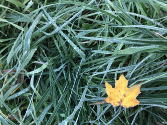 Similar image 21556500